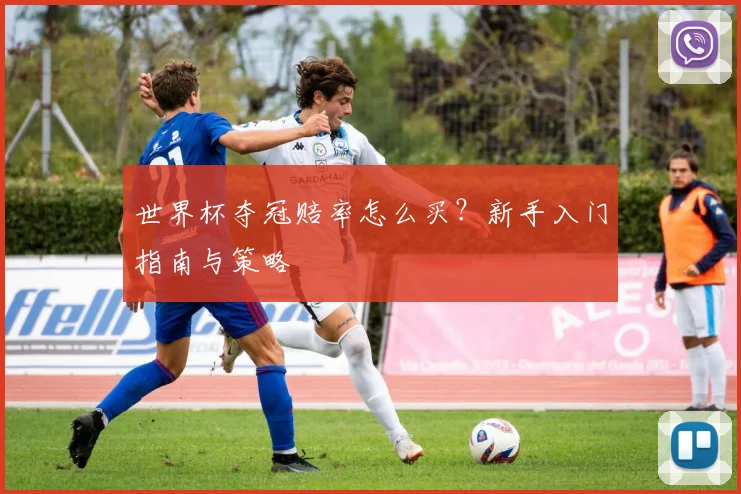 世界杯夺冠赔率怎么买？新手入门指南与策略