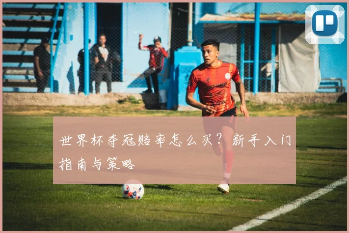 世界杯夺冠赔率怎么买？新手入门指南与策略
