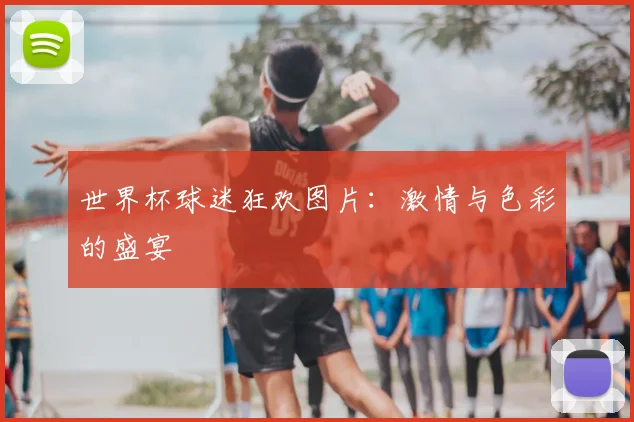 世界杯球迷狂欢图片：激情与色彩的盛宴