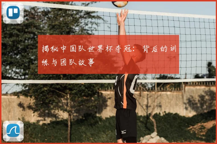 揭秘中国队世界杯夺冠：背后的训练与团队故事